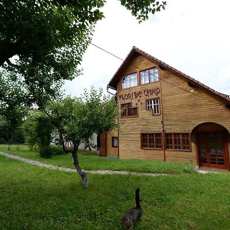 Pensiunea Flori De Camp Vatra Dornei Exterior photo