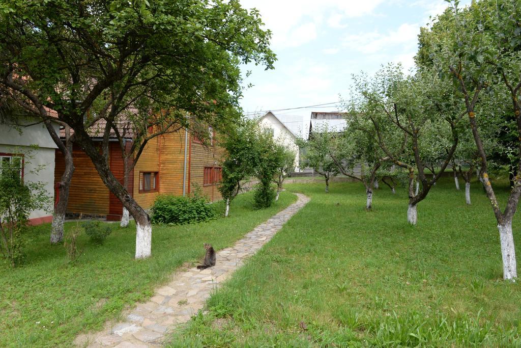 Pensiunea Flori De Camp Vatra Dornei Exterior photo