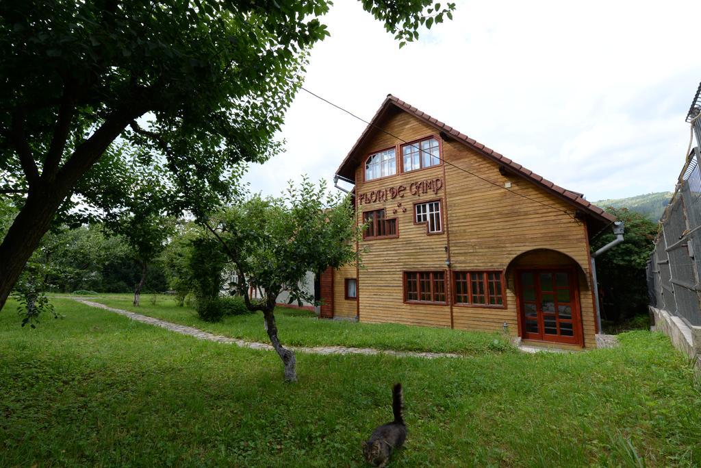 Pensiunea Flori De Camp Vatra Dornei Exterior photo