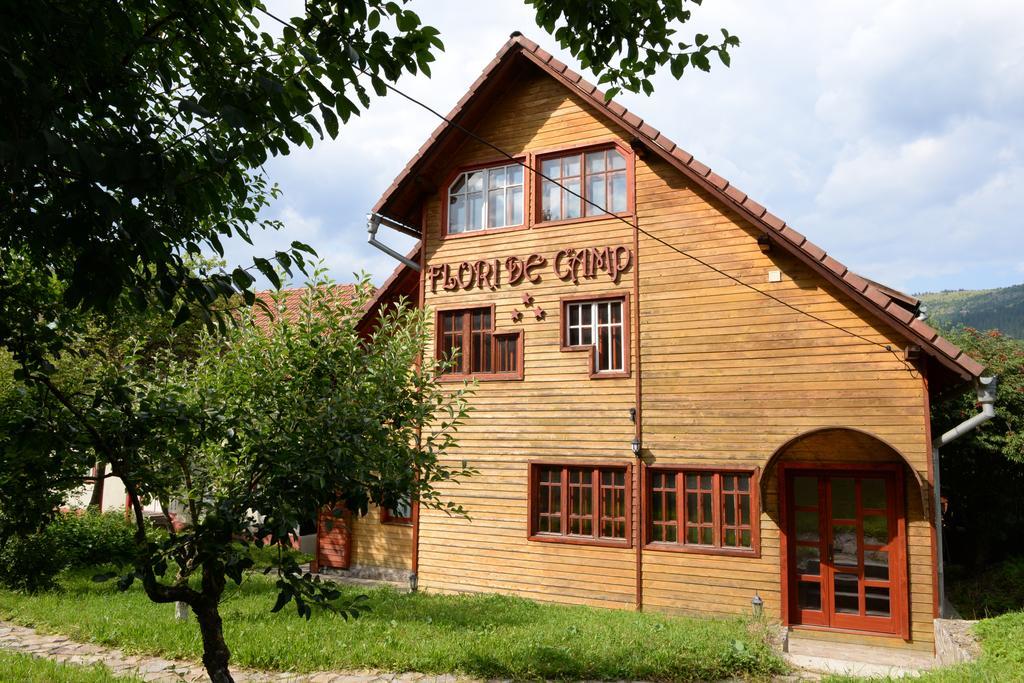 Pensiunea Flori De Camp Vatra Dornei Exterior photo