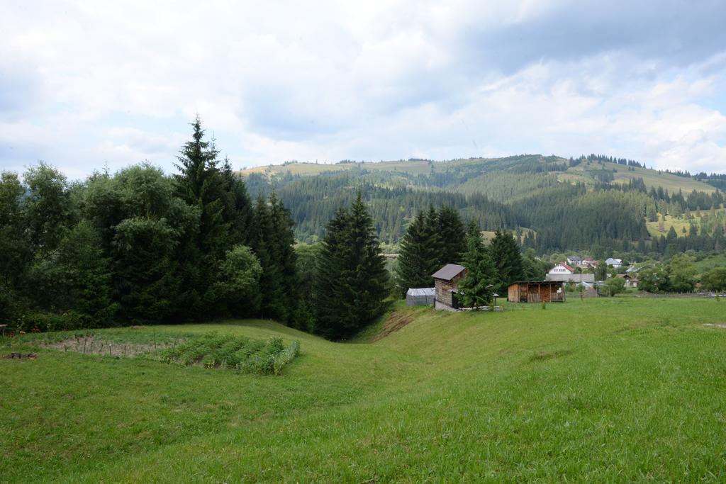 Pensiunea Flori De Camp Vatra Dornei Exterior photo
