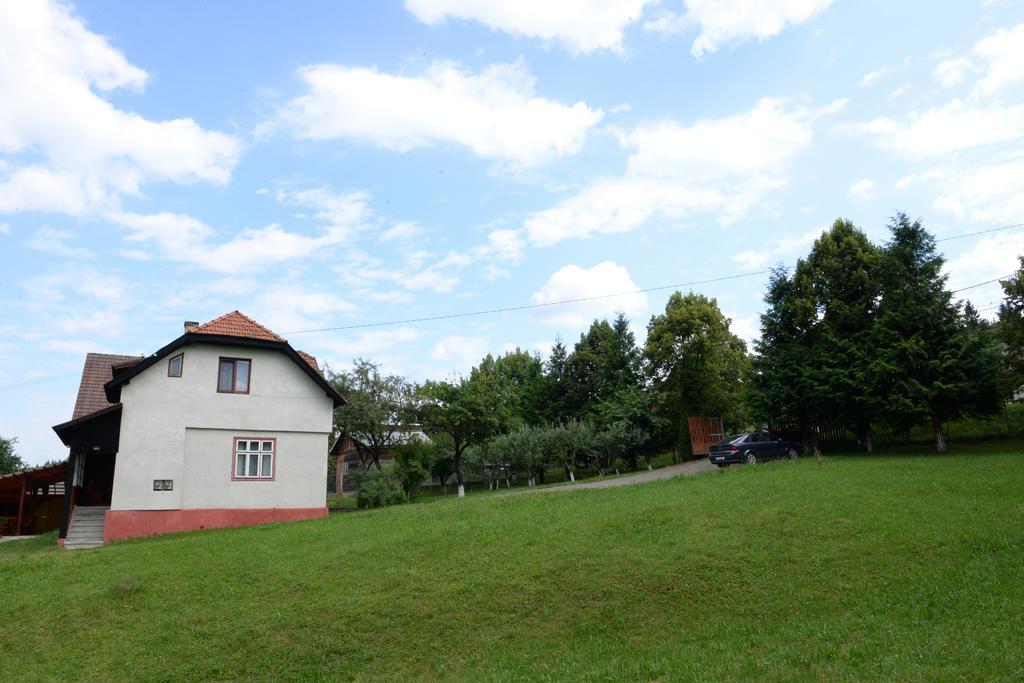 Pensiunea Flori De Camp Vatra Dornei Exterior photo