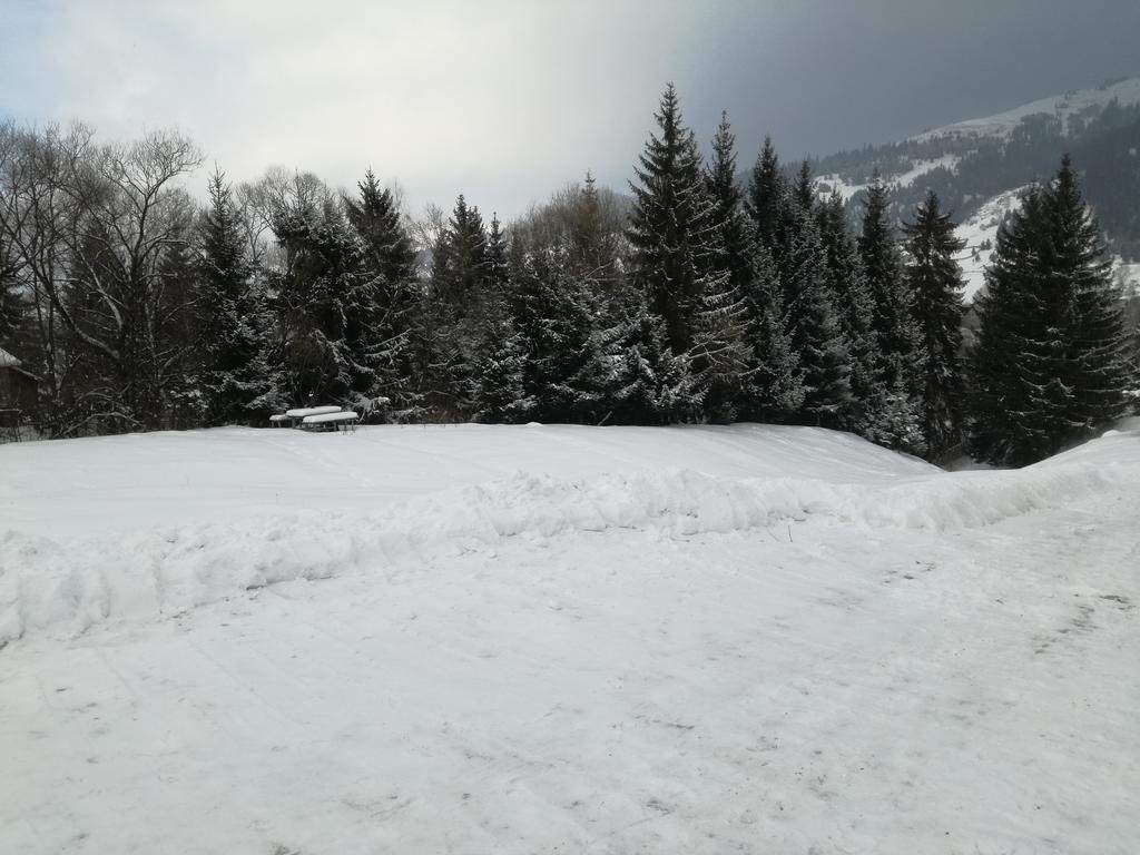Pensiunea Flori De Camp Vatra Dornei Exterior photo